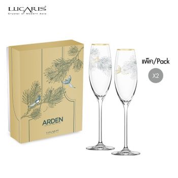ชุดของขวัญแก้วไวน์ ARDEN - Arden Champagne Set
